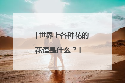 世界上各种花的花语是什么？