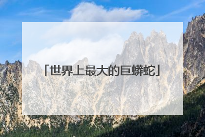 世界上最大的巨蟒蛇