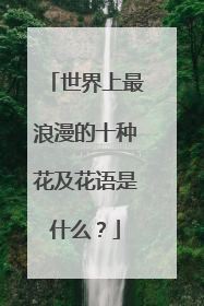 世界上最浪漫的十种花及花语是什么？