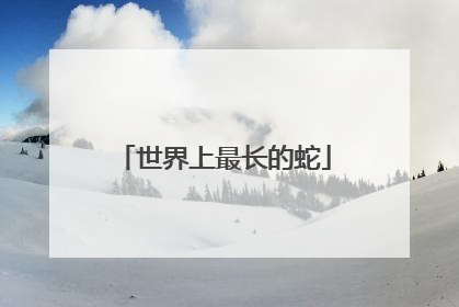 世界上最长的蛇