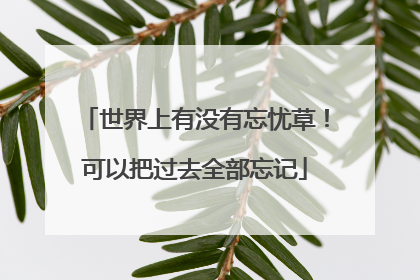 世界上有没有忘忧草！可以把过去全部忘记