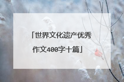 世界文化遗产优秀作文400字十篇