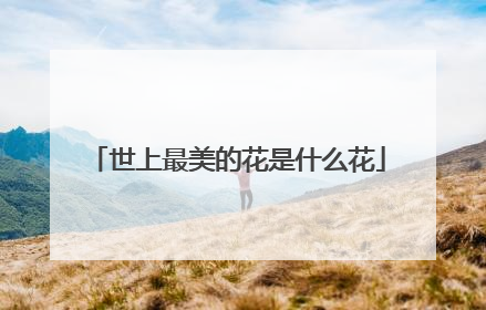世上最美的花是什么花