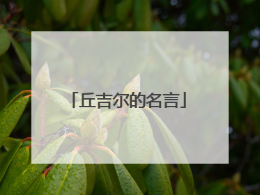 丘吉尔的名言