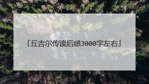 丘吉尔传读后感3000字左右