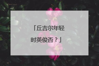 丘吉尔年轻时英俊否？