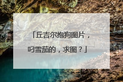 丘吉尔抱狗图片，叼雪茄的，求图？