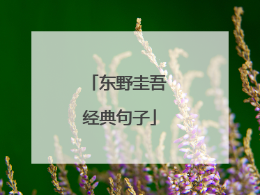 东野圭吾经典句子