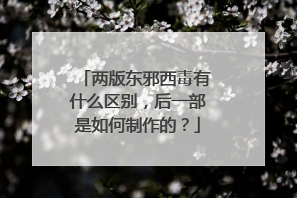 两版东邪西毒有什么区别，后一部是如何制作的？