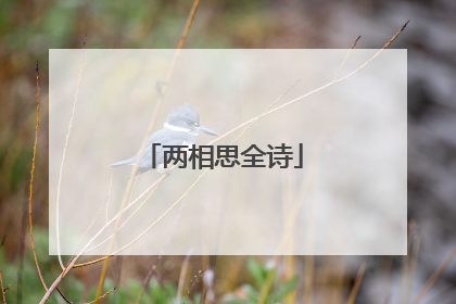 两相思全诗