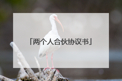 两个人合伙协议书