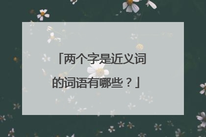 两个字是近义词的词语有哪些？