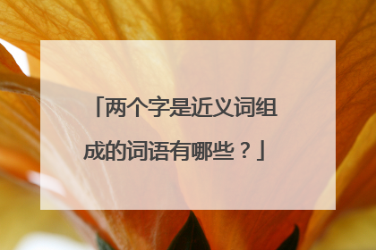 两个字是近义词组成的词语有哪些？