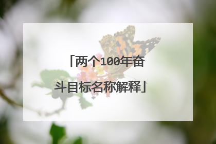 两个100年奋斗目标名称解释