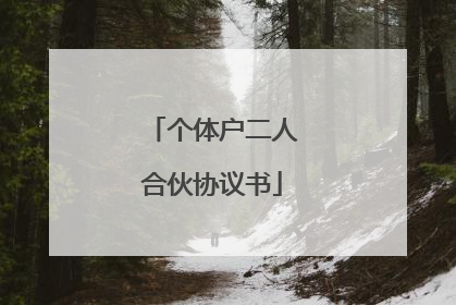 个体户二人合伙协议书