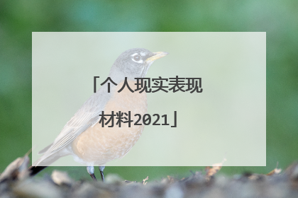 个人现实表现材料2021