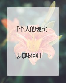 个人的现实表现材料