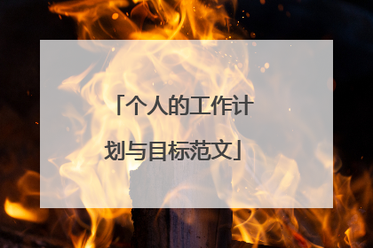 个人的工作计划与目标范文
