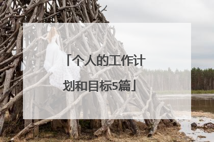 个人的工作计划和目标5篇