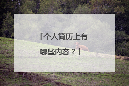 个人简历上有哪些内容？