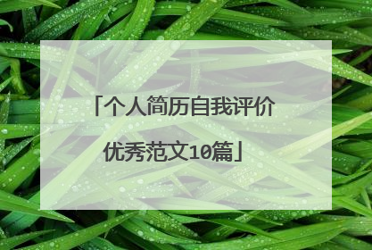 个人简历自我评价优秀范文10篇