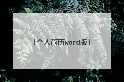 个人简历word版