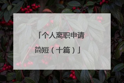 个人离职申请简短(十篇)