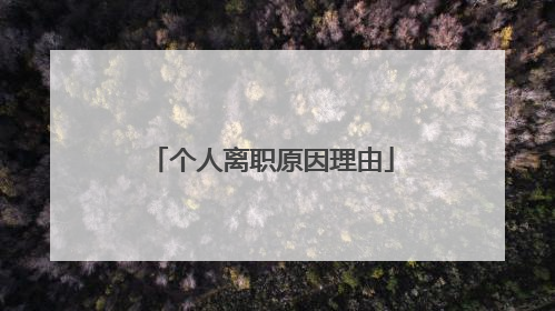 个人离职原因理由