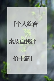个人综合素质自我评价十篇