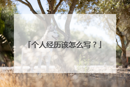 个人经历该怎么写？