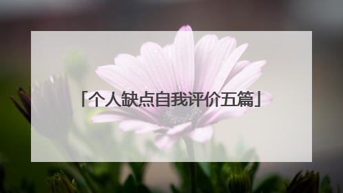 个人缺点自我评价五篇