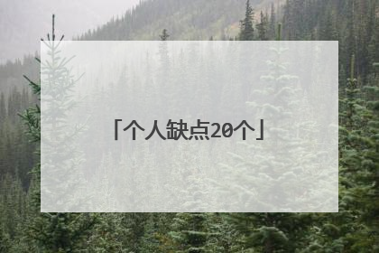 个人缺点20个