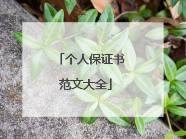 个人保证书范文大全