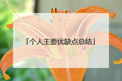 个人主要优缺点总结