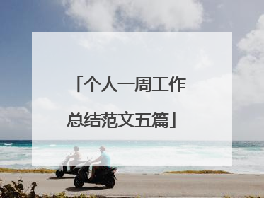 个人一周工作总结范文五篇