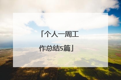 个人一周工作总结5篇