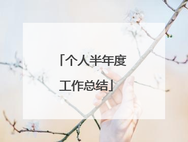 个人半年度工作总结