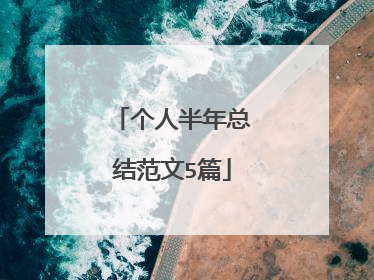 个人半年总结范文5篇