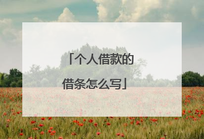 个人借款的借条怎么写