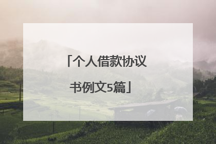 个人借款协议书例文5篇