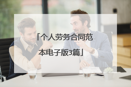 个人劳务合同范本电子版3篇