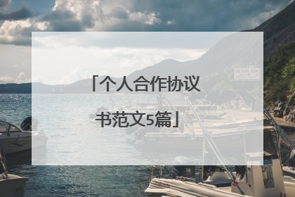 个人合作协议书范文5篇