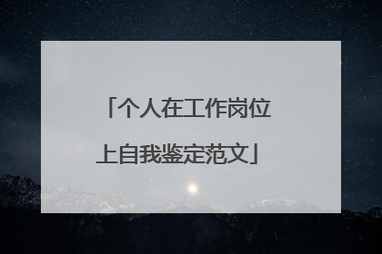 个人在工作岗位上自我鉴定范文