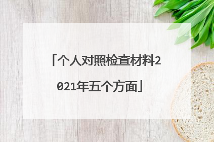 个人对照检查材料2021年五个方面