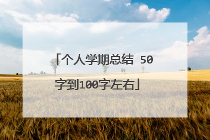 个人学期总结 50字到100字左右