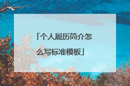 个人履历简介怎么写标准模板