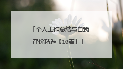 个人工作总结与自我评价精选【10篇】