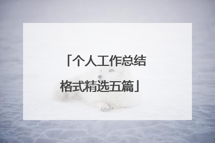 个人工作总结格式精选五篇