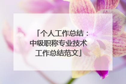 个人工作总结：中级职称专业技术工作总结范文