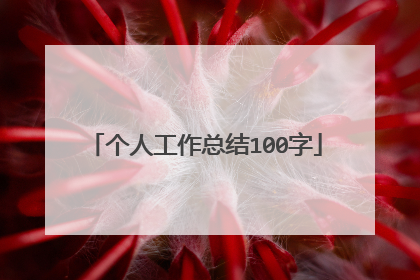 个人工作总结100字